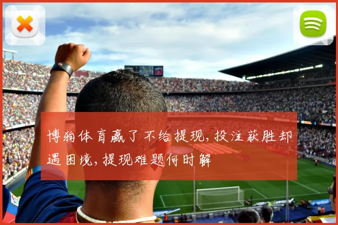 博狗体育赢了不给提现,投注获胜却遇困境,提现难题何时解