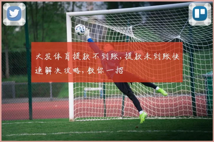 大发体育提款不到账,提款未到账快速解决攻略,教你一招